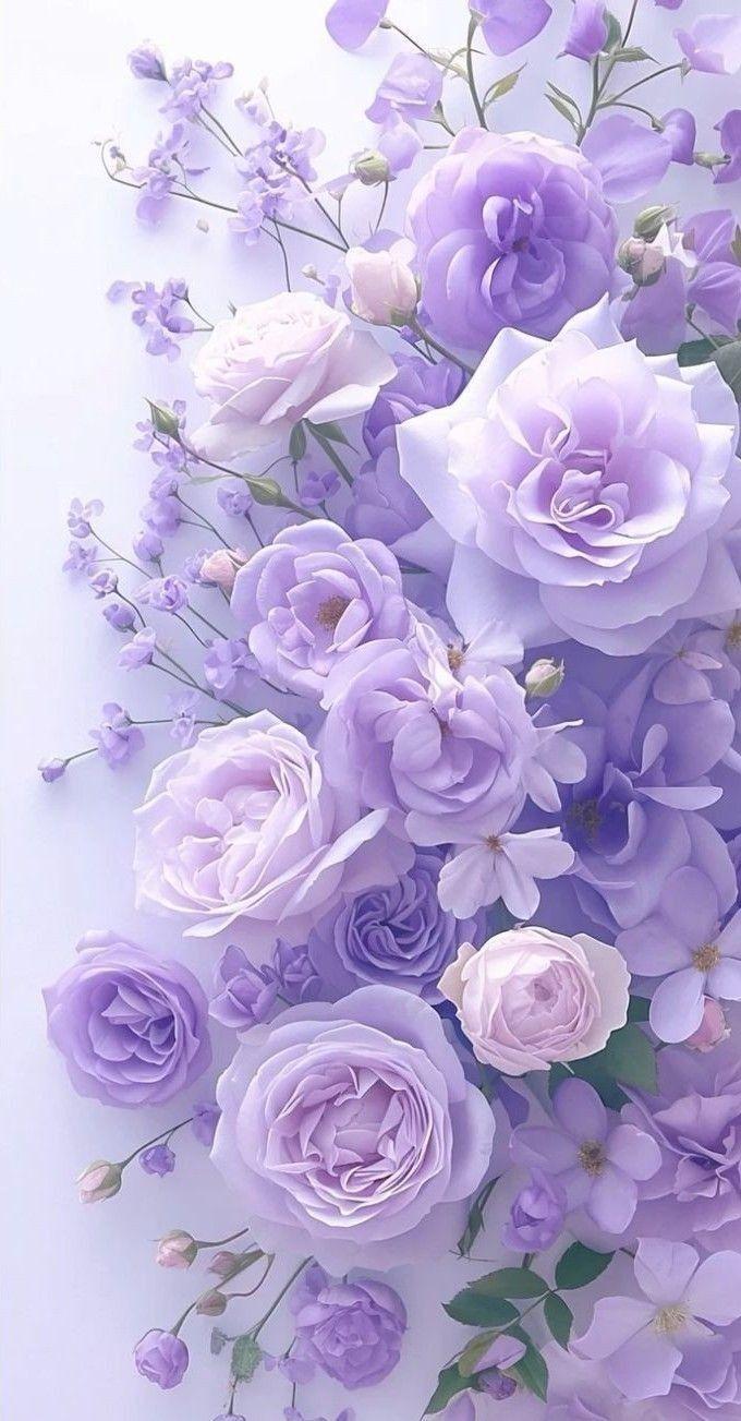 Enchanted Garden Symphony Arrangement
